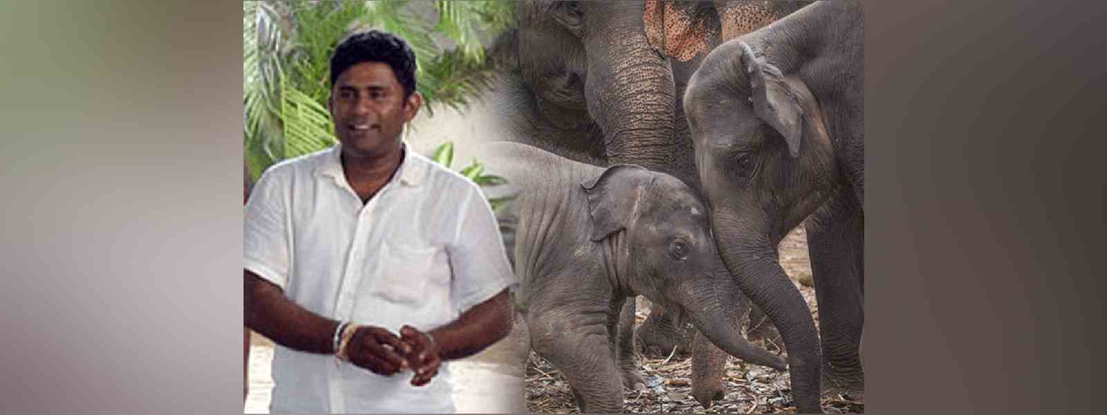 අලි රොෂාන්ට බරපතල වැඩ සහිත වසර 15ක සිර දඬුවම්